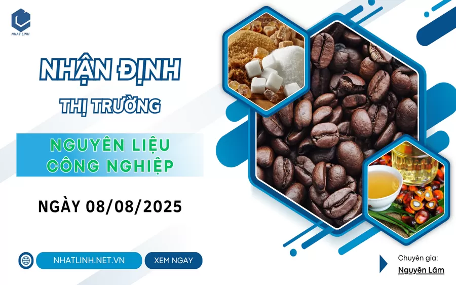 NHẬN ĐỊNH: NHÓM NGUYÊN LIỆU - CÔNG NGHIỆP NGÀY 08/08/2025